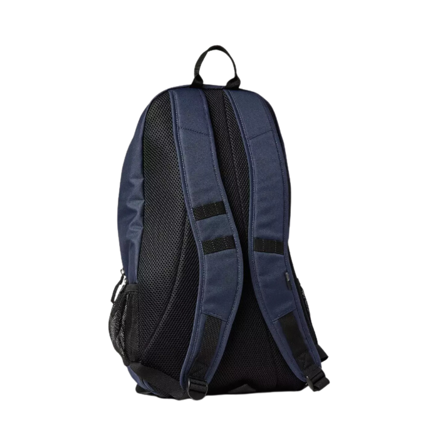 MORRAL FOX LEGION (AZUL)